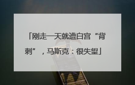 刚走一天就遭白宫“背刺”，马斯克：很失望