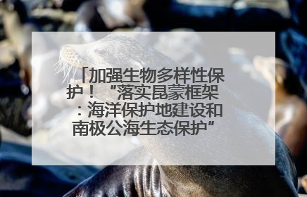 加强生物多样性保护！“落实昆蒙框架：海洋保护地建设和南极公海生态保护”主题论坛将举办
