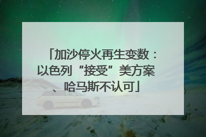 加沙停火再生变数：以色列“接受”美方案、哈马斯不认可