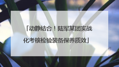 动静结合！陆军某团实战化考核检验装备保养质效