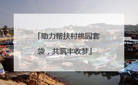 助力帮扶村桃园套袋，共筑丰收梦