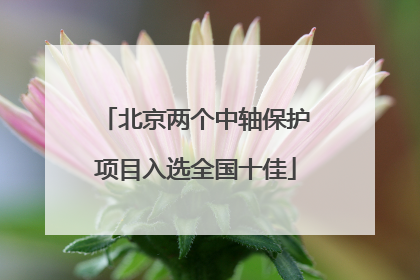 北京两个中轴保护项目入选全国十佳