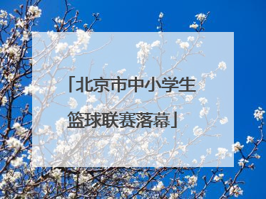 北京市中小学生篮球联赛落幕