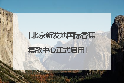 北京新发地国际香蕉集散中心正式启用