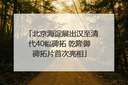 北京海淀展出汉至清代40幅碑拓 乾隆御碑拓片首次亮相