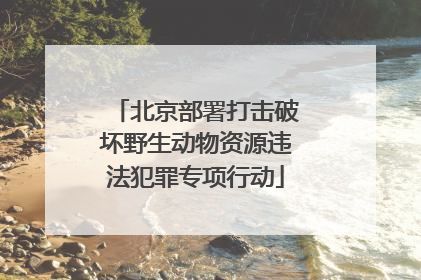 北京部署打击破坏野生动物资源违法犯罪专项行动