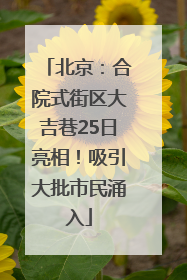 北京：合院式街区大吉巷25日亮相！吸引大批市民涌入