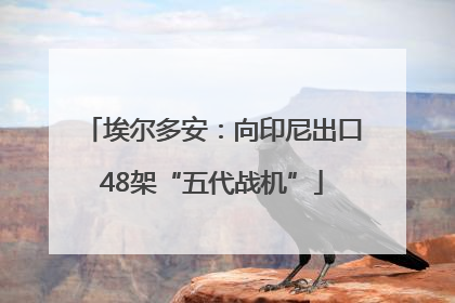 埃尔多安：向印尼出口48架“五代战机”