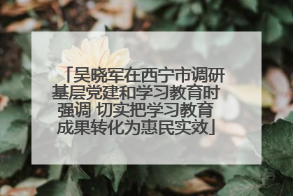 吴晓军在西宁市调研基层党建和学习教育时强调 切实把学习教育成果转化为惠民实效