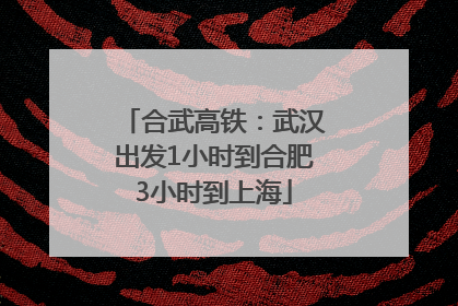 合武高铁：武汉出发1小时到合肥3小时到上海