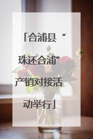 合浦县“珠还合浦”产销对接活动举行