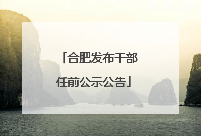 合肥发布干部任前公示公告