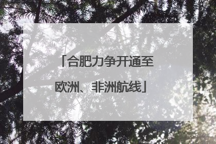 合肥力争开通至欧洲、非洲航线