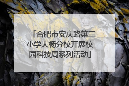 合肥市安庆路第三小学大杨分校开展校园科技周系列活动