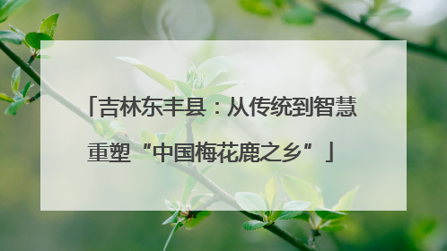 吉林东丰县：从传统到智慧重塑“中国梅花鹿之乡”