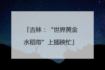 吉林：“世界黄金水稻带”上插秧忙
