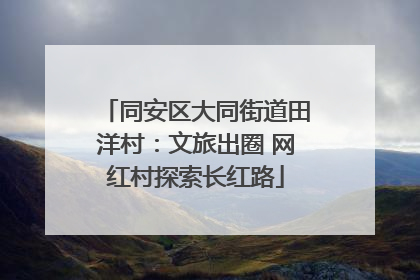 同安区大同街道田洋村：文旅出圈 网红村探索长红路