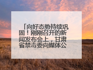 向好态势持续巩固！刚刚召开的新闻发布会上，甘肃省禁毒委向媒体公布三年禁毒工作“成绩单”