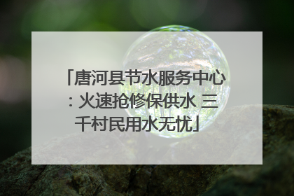 唐河县节水服务中心：火速抢修保供水 三千村民用水无忧