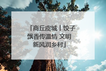 商丘虞城丨饺子飘香传温情 文明新风润乡村