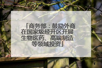 商务部：鼓励外商在国家级经开区开展生物医药、高端制造等领域投资