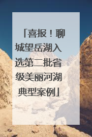 喜报！聊城望岳湖入选第二批省级美丽河湖典型案例