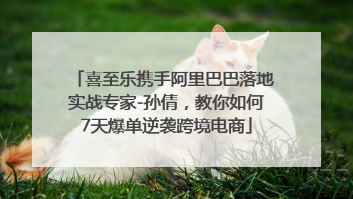 喜至乐携手阿里巴巴落地实战专家-孙倩，教你如何7天爆单逆袭跨境电商