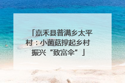 嘉禾县普满乡太平村：小菌菇撑起乡村振兴“致富伞”