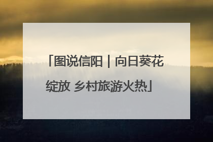 图说信阳｜向日葵花绽放 乡村旅游火热
