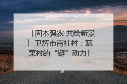 固本强农 共绘新景 ︳卫辉市南社村：蔬菜村的“链”动力
