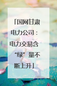 国网甘肃电力公司：电力交易含“绿”量不断上升