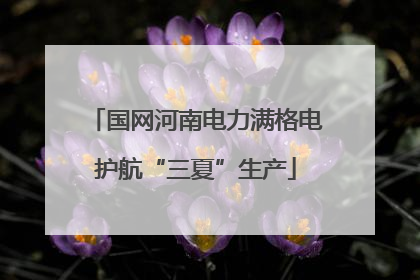 国网河南电力满格电护航“三夏”生产