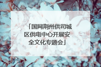 国网荆州供司城区供电中心开展安全文化专题会