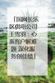 国网长乐区供电公司王雪羽：心系客户解难题 深化服务创佳绩