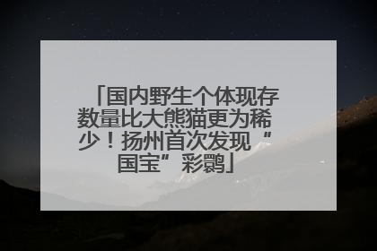 国内野生个体现存数量比大熊猫更为稀少！扬州首次发现“国宝”彩鹮