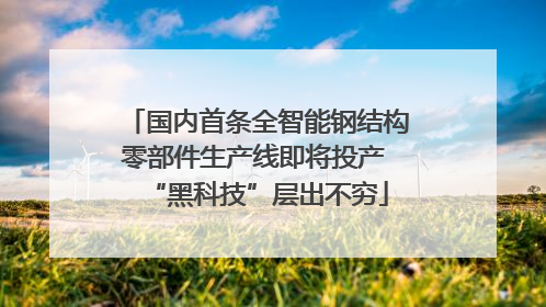 国内首条全智能钢结构零部件生产线即将投产 “黑科技”层出不穷