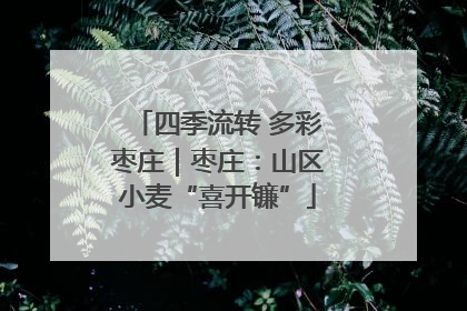 四季流转 多彩枣庄｜枣庄：山区小麦“喜开镰”