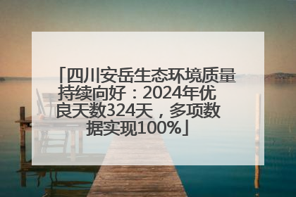 四川安岳生态环境质量持续向好：2024年优良天数324天，多项数据实现100%
