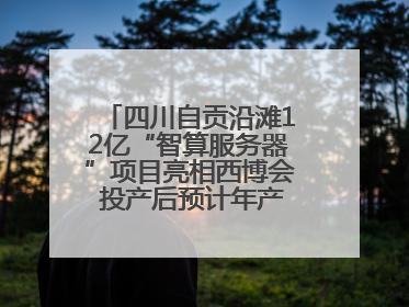 四川自贡沿滩12亿“智算服务器”项目亮相西博会 投产后预计年产值达15亿元