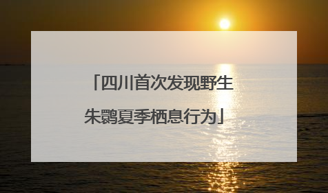 四川首次发现野生朱鹮夏季栖息行为