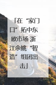 在“家门口”拓中东欧市场 浙江余姚“智造”组团出击