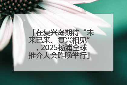 在复兴岛期待“未来已来、复兴相见”，2025杨浦全球推介大会昨晚举行