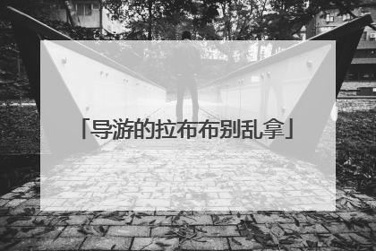 导游的拉布布别乱拿