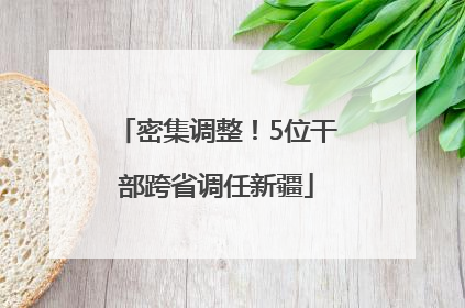 密集调整！5位干部跨省调任新疆