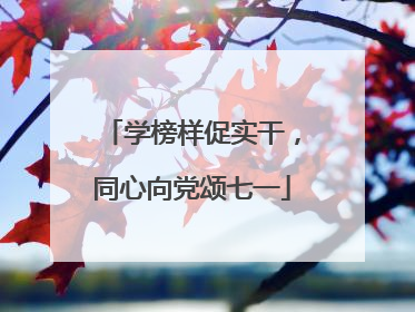 学榜样促实干，同心向党颂七一