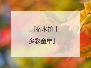 宿来拍丨多彩童年