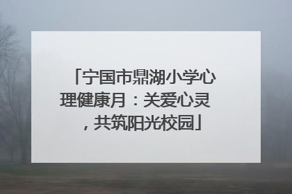 宁国市鼎湖小学心理健康月：关爱心灵，共筑阳光校园