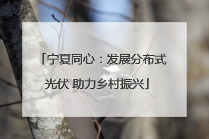 宁夏同心：发展分布式光伏 助力乡村振兴