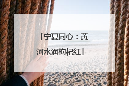 宁夏同心：黄河水润枸杞红