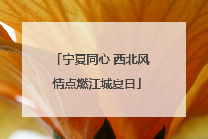 宁夏同心 西北风情点燃江城夏日
